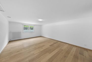 VÉSENAZ - CHARMANTE VILLA FAMILIALE